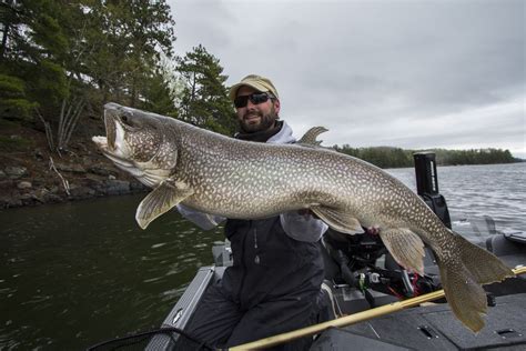 fishonline ontario